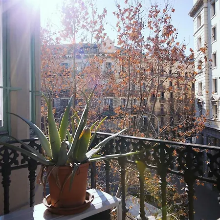 Hostal Eixample-2