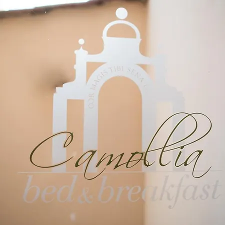 Bed & Breakfast Camollia-3