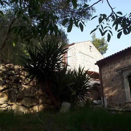 B&B Al Dosello-3