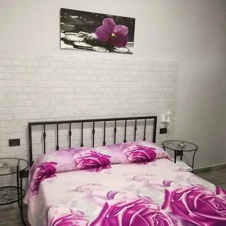 Hotel Primavera-2