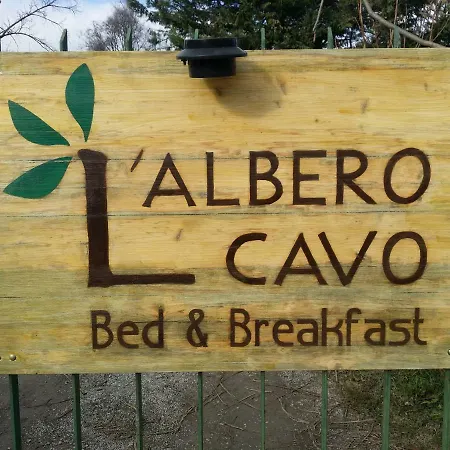 R&B Albero Cavo Parma-3