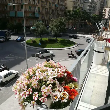 Edelweiss-2