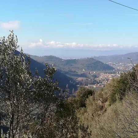 B&B Il Sentiero nel Bosco-3