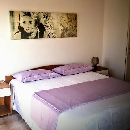 B&B Delfis-2