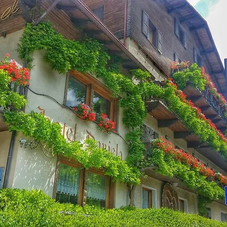 Hotel Daniela-3