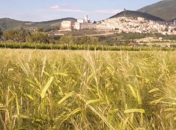 B&B Domus Benedicta Assisi
