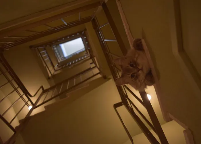 Bed and Breakfast Le Rossi Bed Cesena