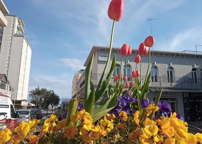 Hotel Ginevra Lido di Jesolo
