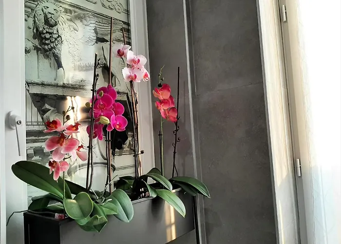 Welcome Verona Rooms