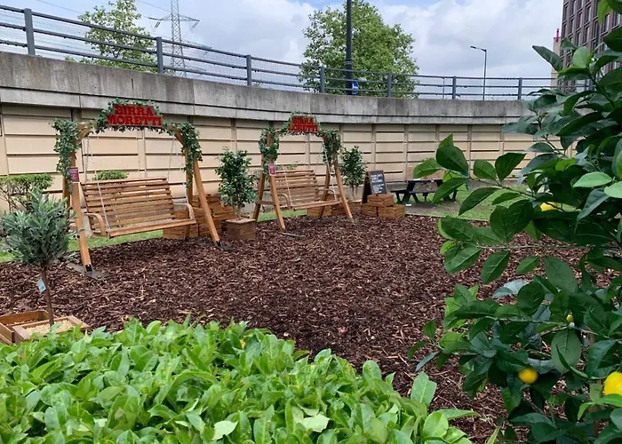 Hotel Fox Connaught London Excel