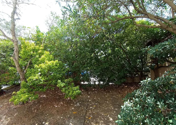 Bed and Breakfast Domus Garden Olbia