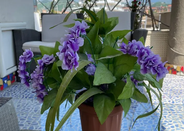 Bed and Breakfast costasudsalerno