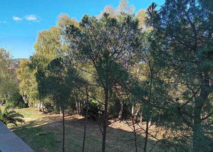 Dietro Molentargius Cagliari