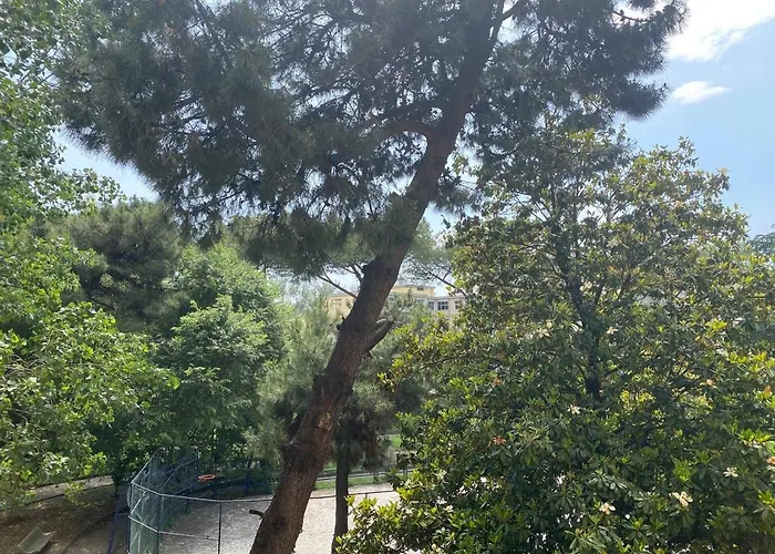 Oasi Verde Napoli