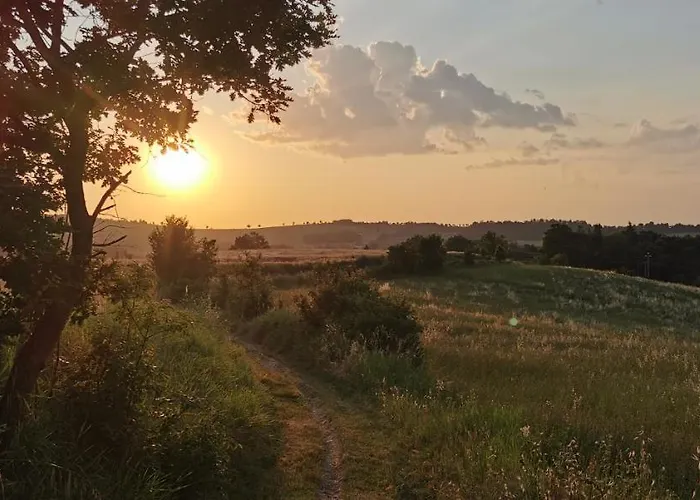 Cerlino'S B&B Reggio nell'Emilia