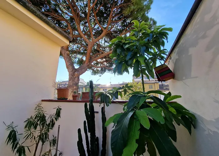 Casaldo'S Rooms Firenze