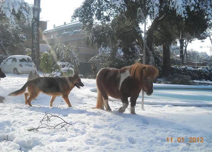 Relais La Canfora Roma