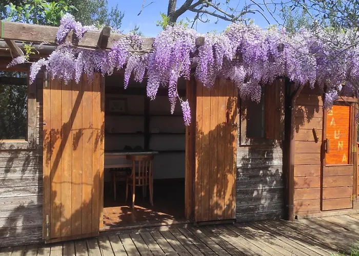B&B La casina di Iris Arezzo