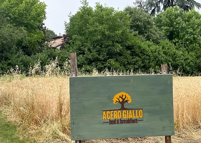 Acero Giallo Parma