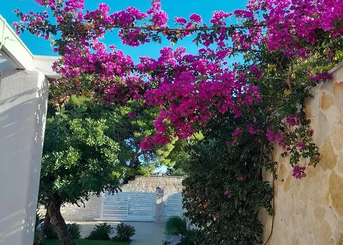 Bed and Breakfast Spirito Santo Bari