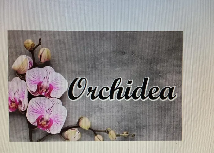 Appartamento Orchidea Napoli