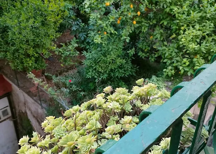 A casa di Freddie Napoli