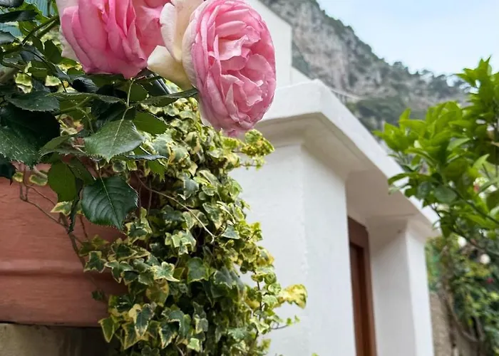 Il Cigno B&B Capri