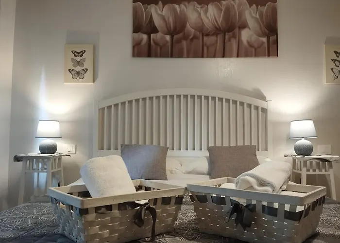 Coffee And The City Roma