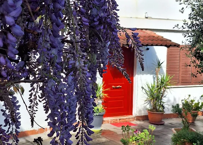 Giallo Limone B&B Salerno