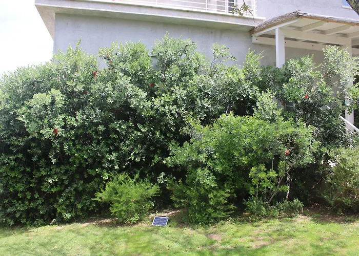 Hotel Lido Del Faro Olbia