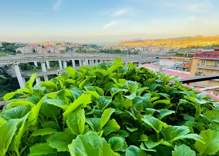 Bed and Breakfast Il ramo d'oro Napoli