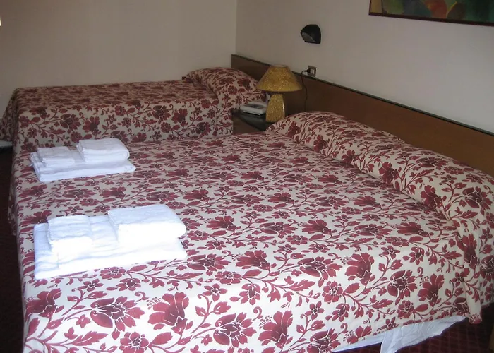 Hotel Niagara Rimini