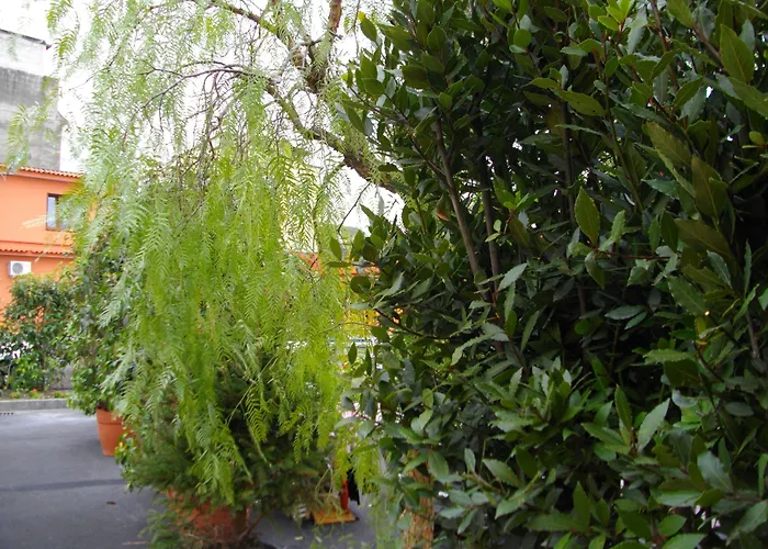 Hotel La Corte Napoli