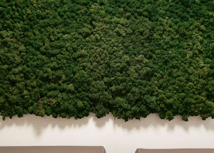 Tramas Hotel & Spa Olbia