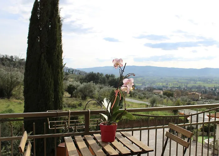 Viole Country Hotel Assisi