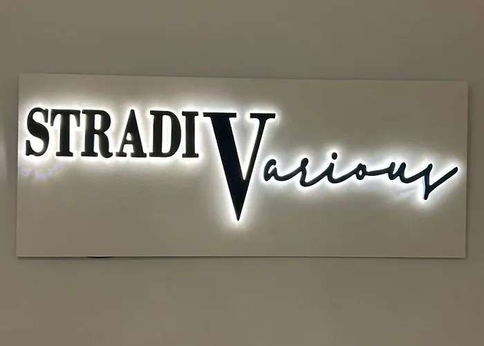 Stradivarious Firenze
