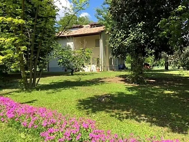 Acero Giallo Parma