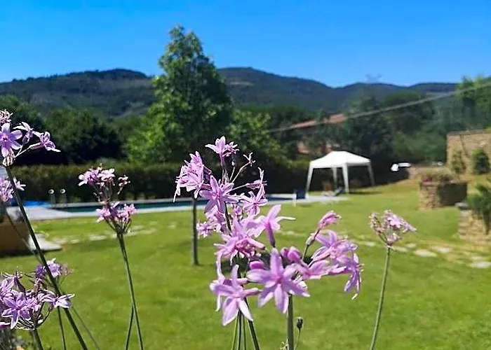 Alba Morus Bed&Breakfast sentiti a casa nel cuo Arezzo