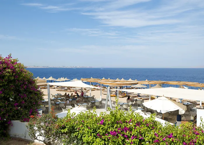 Amphoras Blu Ultra (Adults Only) Sharm el Sheikh
