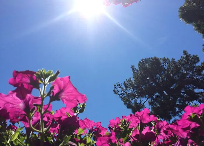 Residence Ola Milano Marittima