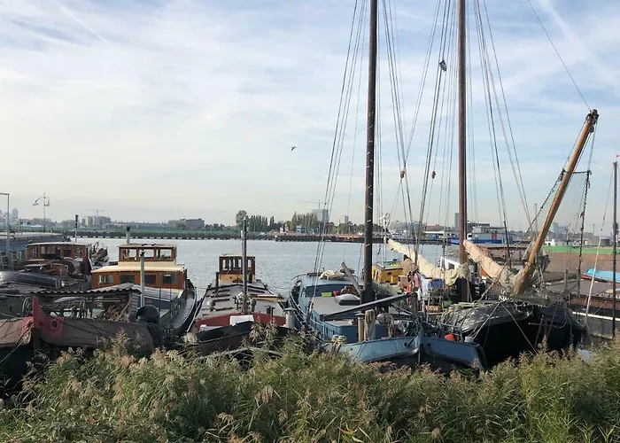 B&B Bloom Amsterdam